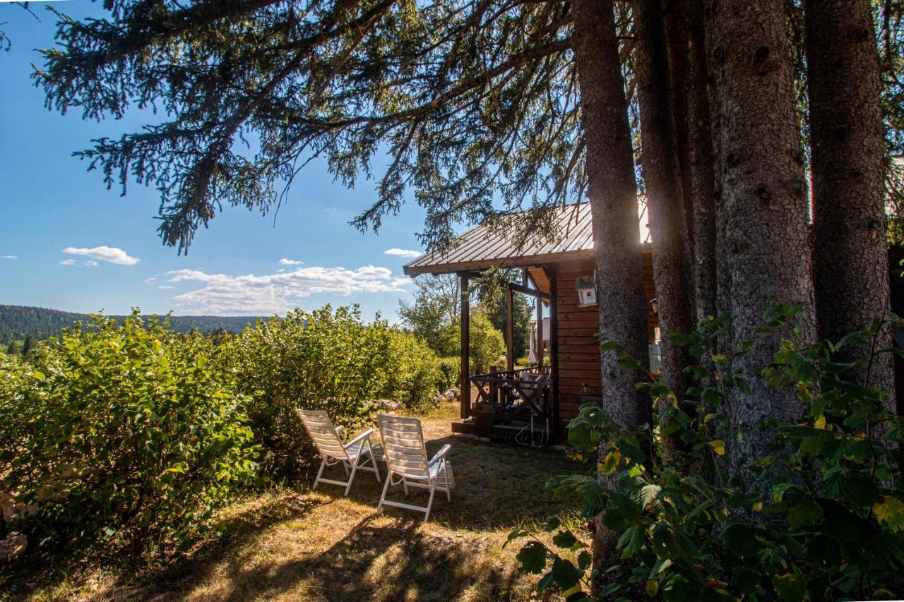 Chalet Du Bois Joli Saint-Laurent-en-Grandvaux Dış mekan fotoğraf