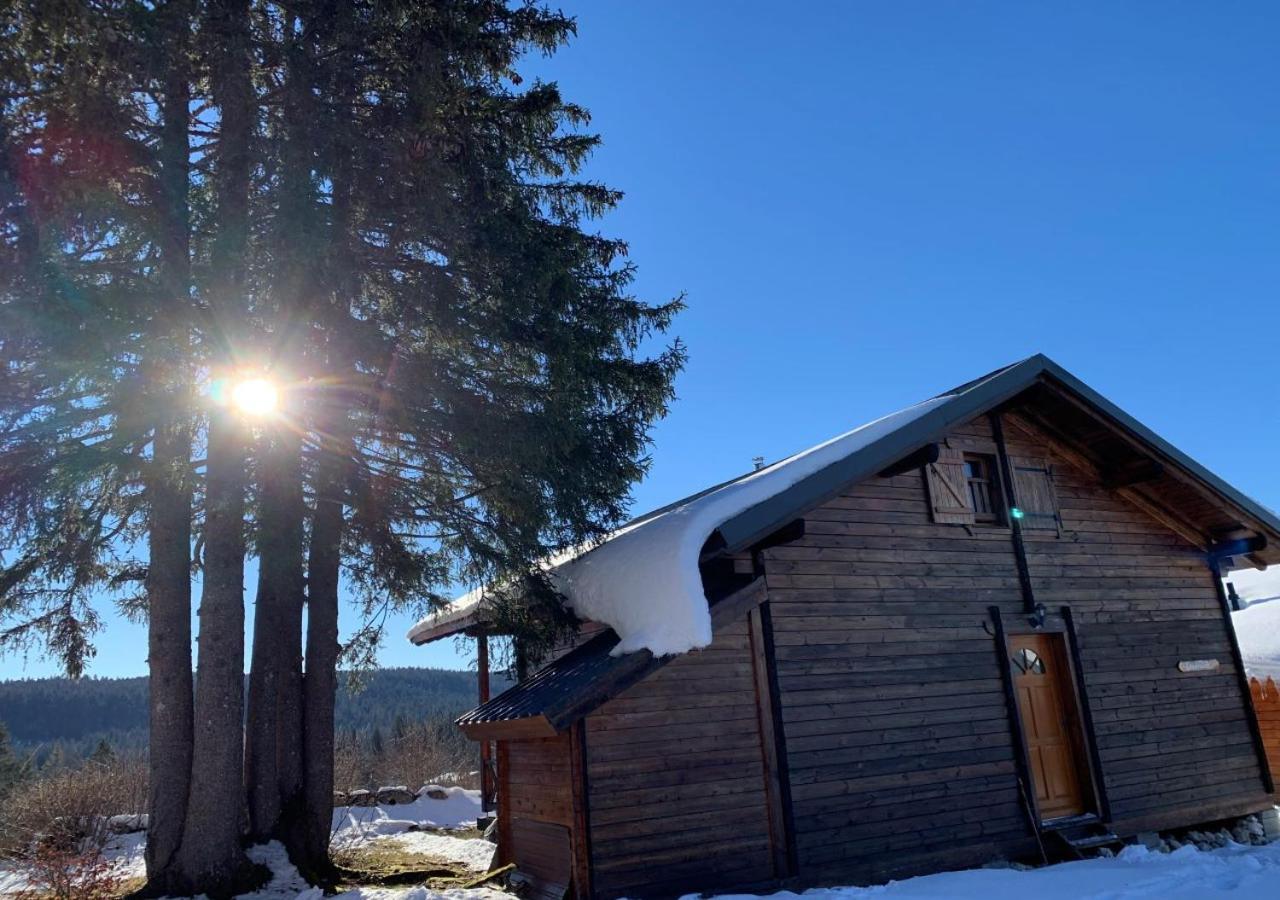 Chalet Du Bois Joli Saint-Laurent-en-Grandvaux Dış mekan fotoğraf