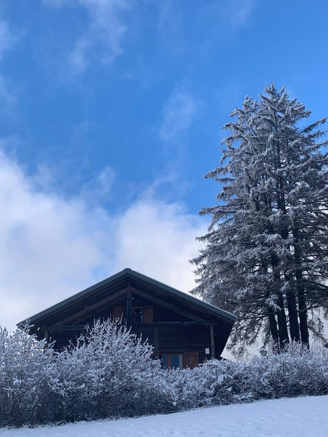 Chalet Du Bois Joli Saint-Laurent-en-Grandvaux Dış mekan fotoğraf