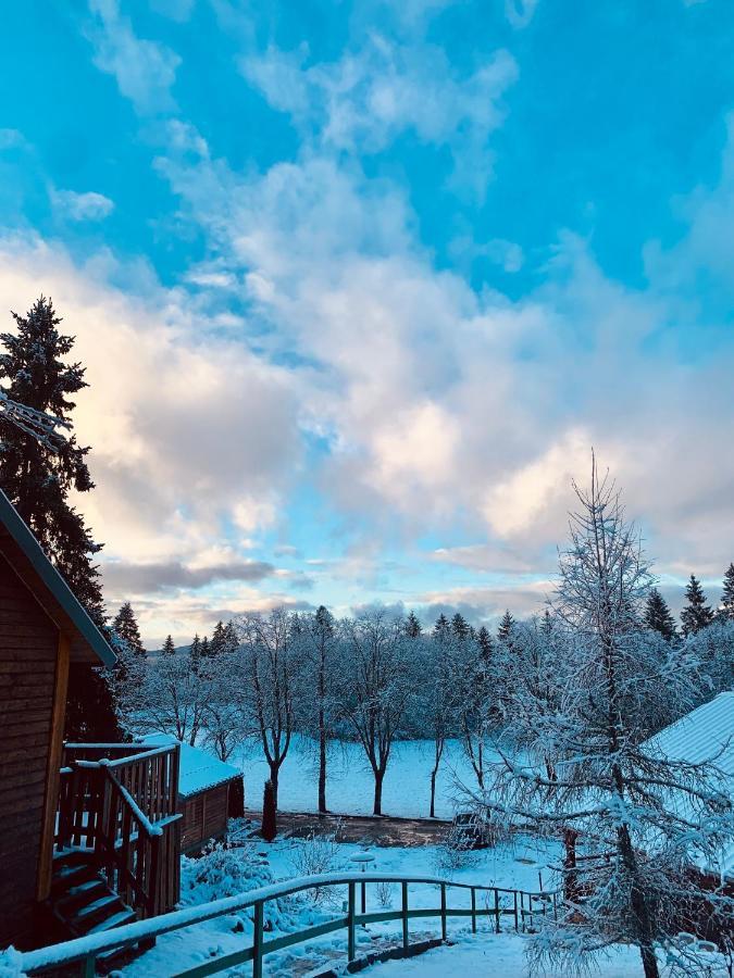 Chalet Du Bois Joli Saint-Laurent-en-Grandvaux Dış mekan fotoğraf